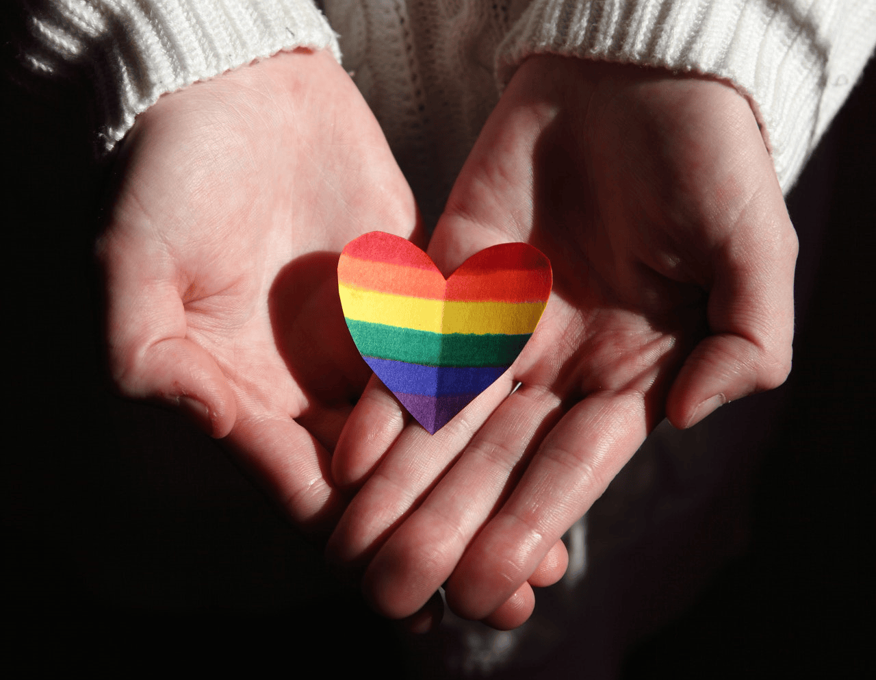 lgbt_novise